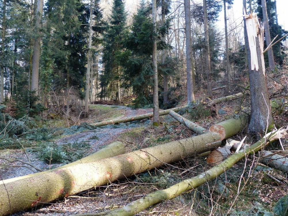 ouverture-de-piste.jpg